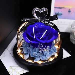 Natürliche ewige Blumen für immer konservierte Rose in Glaskuppel mit Led Valentine Christmas Muttertag Geschenke für Sie