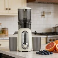 Nieuwe Design 200W Fruit Citrus Slow Masticating Cold Press Commerciële Sapcentrifuge Automatische Sinaasappelpers