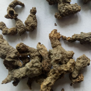 Zi Bei Tian Kui Medicina Herbal Chinesa Selvagem Bulbo de Begonia Fimbristipula Seco Raiz de Begonia Fimbristipula - Product Image 5