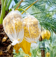 Op Maat Gemaakte Datum Mesh Tas Voor Het Beschermen Van Dadelvruchten Groene Of Witte Palmboom Mesh Tas Met Zwart Trekkoord