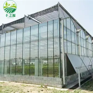 Barato agricultura inteligente multi-span vidro estufa hidropônica estufa