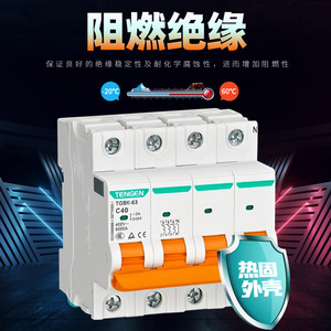 Tengen TGBK-63 Miniature Circuit Breaker 400V C40 63A Thermal <b>Plastic</b> Housing - Product Image 1