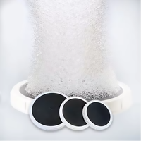 Diffuseur d'air à disque Aérateur Diffuseurs d'aération à bulles fines pour le traitement des eaux usées