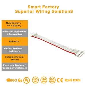 Ensemble de faisceaux de câblage professionnels avec câbles plats et connecteurs IDC pour panneaux de commande industriels et systèmes d'interface API - Product Image 3