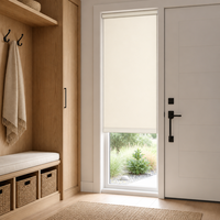 Stores enrouleurs en tissu pour appartement, délicats, à tissage fin, sur mesure, avec système de freinage sans fil et commande par ressort pour le contrôle de la lumière
