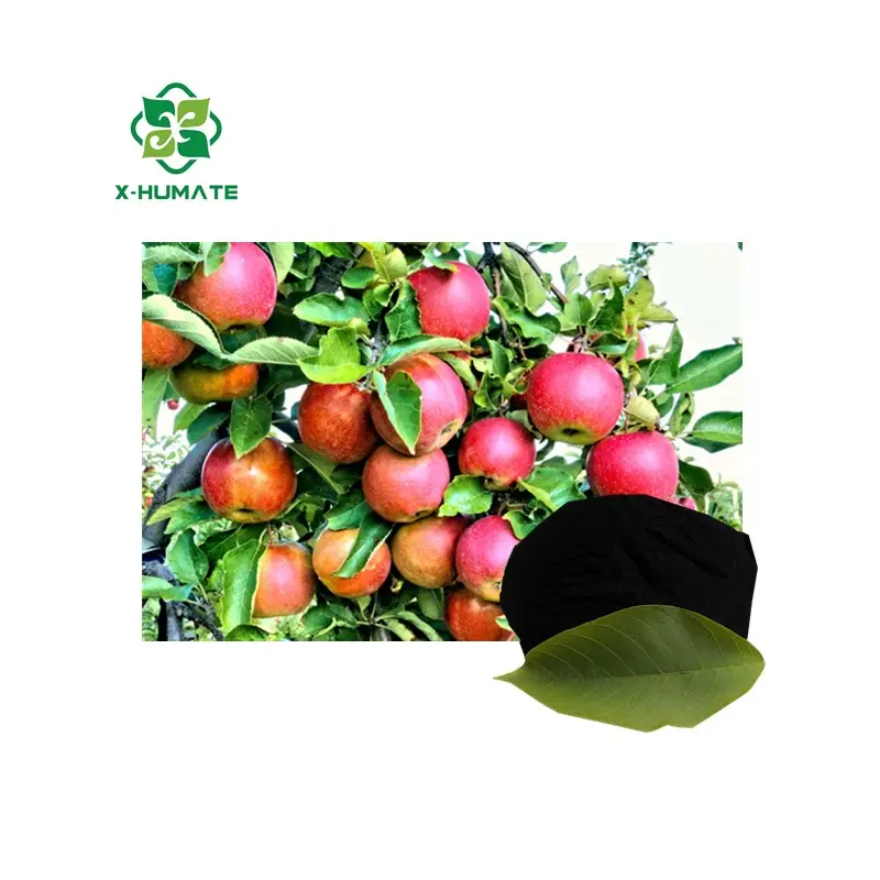 X-humate pupuk organik Moisture 10% max tanaman pertanian 80-100mesh bubuk