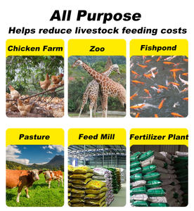 Máquina Pequeña <span class=keywords><strong>para</strong></span> Producción de Pienso en <span class=keywords><strong>Pellets</strong></span> <span class=keywords><strong>para</strong></span> Pollos, Patos, Conejos y Aves de Corral - Product Image 2