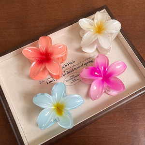 Pinces à cheveux en plastique PYC motif fleur hawaïenne 5x5x3cm pour femmes et filles, accessoires de mode décontractés, vente en gros - Product Image 4