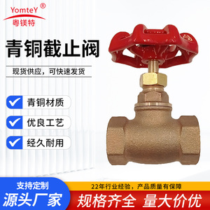 Guangdong Magnesium Special Bronze Gate Valve Threaded 2-Way Cut-Off Water Valve - Product Image 5