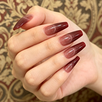 Faux ongles longs en ABS à presser, motif œil de chat bordeaux, avec paillettes magnétiques pour les doigts