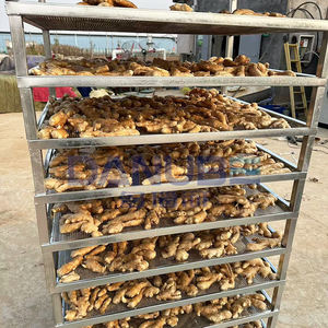 Équipement industriel de séchage alimentaire pour ciboulette, laitue, chou chinois, pois verts, patate douce - Product Image 5