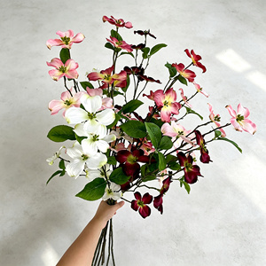 Tige de fleur de dogwood artificielle, branche de Cornus <span class=keywords><strong>à</strong></span> toucher réel pour la décoration de mariage, centre de table pour vase, décoration florale - Product Image 1