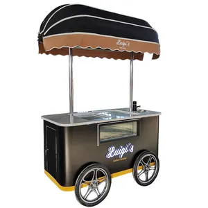 Fabrik preis Italienischer Eiscreme-Handsc hubwagen mit Display-Gefrier schrank Gelato-Stand wagen