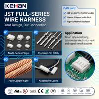 Rangkaian Kabel Harness Pitch Kustom JST SH MX GH ZH PH EH XH VH dengan Konektor PBT untuk Peralatan Komputer Elektronik