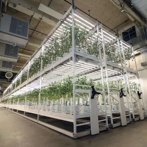 Sistemi di coltivazione idroponica per interni Rack per la coltivazione di piante Rack verticale Mobile per la coltivazione