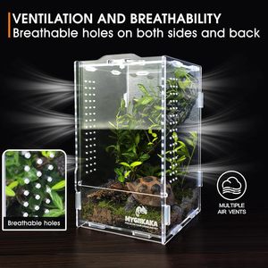 Vente en gros de terrariums en acrylique pour araignées sauteuses, insectes, mantes religieuses, grenouilles, reptiles - Product Image 5