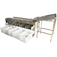 Groente-en sorteren en sorteermachine, producten sizer, fruit sorteren en sorteermachine.