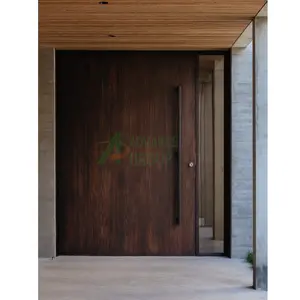 ゲート正面玄関セキュリティ金属ドア用住宅正面玄関用プレハングピボットシステム鋼製ドア最新デザイン写真