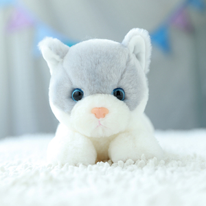 Fábrica de Qingdao niños favorito juguetes de peluche gato amarillo juguetes de peluche - Product Image 4