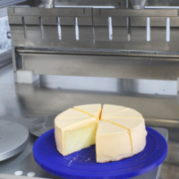 Machine de découpe automatique à ultrasons pour gâteaux, biscuits, rouleaux, pâtes à fromage et aliments, avec nettoyage automatique, en acier inoxydable, pour une découpe sûre