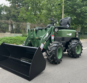 Mini Loader, Wheeled Battery Ce Epa4 Euro5 for Sale. Free Shipping. - Product Image 1