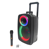 Karaoké extérieur, microphone sans fil 12 pouces, 20W RGB pour système audio Hi-Fi 5.0, double microphone, batterie 3600mAh, télécommande