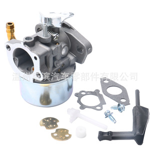 Carburateur Briggs Stratton C6-798653 pour 798653 697354 791077 790290, pièce de rechange mécanique - Product Image 2