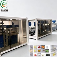Machine de thermoformage automatique PS/PP pour boîtes à clapet jetables, contenants pour repas rapides, assiettes, bols et barquettes alimentaires