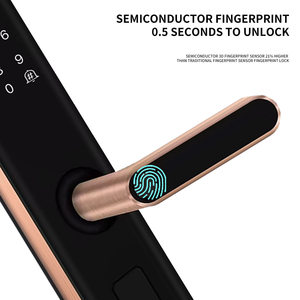 Serrure intelligente à commande à distance <span class=keywords><strong>Wifi</strong></span>, serrure électronique sans clé avec empreinte digitale, clavier numérique, poignée <span class=keywords><strong>de</strong></span> porte avec contrôle par application Tuya - Product Image 2