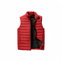 Gilet court matelassé léger et chaud pour homme, collection Automne/Hiver 2026, avec fermeture éclair, 100 % polyester, design tendance et moderne