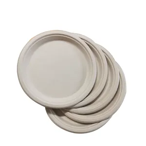 Compostable Biodegradable 12.5 inches Oval Disposable Sugarcane Bagasse Plate