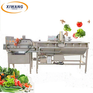 Automatic Ginger and Potato Washing Line Eddy Current Washing Equipment - Product Image 1