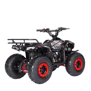 Cuatrimoto ATV de 110cc, <span class=keywords><strong>Dos</strong></span> <span class=keywords><strong>Tiempos</strong></span>, Gasolina, 4x2, para Niños y Adolescentes, con Certificación CE - Product Image 5