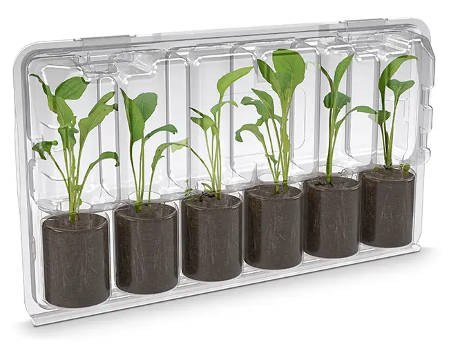 Раскладной контейнер для комнатных растений, упаковка в Блистеры для пластиковых растений