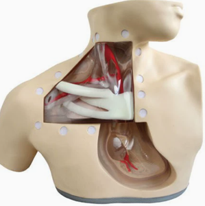 Manekin pengajaran medis canggih untuk Model anatomi perawatan nutrisi Parenteral untuk latihan injeksi dalam simulasi perawatan - Product Image 5