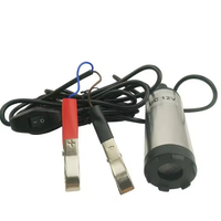 Pompe électrique, pompe à diesel, 12V/24V DC, petite pompe submersible