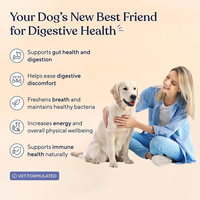 Friandises pour animaux de compagnie personnalisées en gros OEM : Compléments probiotiques à mâcher pour chiens et chats, favorisant la santé digestive et immunitaire