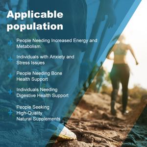 Cápsulas de Citrato de Magnesio de Chinaherbs, Suplemento Herbal Personalizado OEM, Cápsulas de Polvo de Magnesio Puro Natural, Suplemento Dietético Natural - Product Image 3