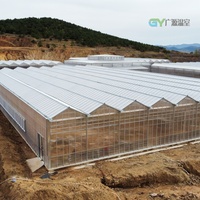 Serre agricole à double paroi à vendre, structure en acier galvanisé, panneaux en polycarbonate, serre commerciale pour l'agriculture