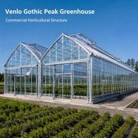 Structure en acier préfabriquée pour entrepôt industriel, hangar agricole commercial à toit en pente, projet de culture de légumes