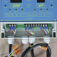250 ORP/pH Digitaler Pool-Wasserqualitäts-Controller-Kit Zweikanaliger Automatischer Chemikaliendosierungs-Monitor