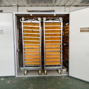 Lồng ấp 10000 trứng nở máy để bán - Product Image 2