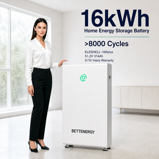 16KWh Residential Energy Storage Battery 51.2V 314Ah LiFePO4 With Inverter Compatibility and Mobile App Control for Home