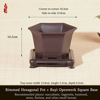 Jardinières carrées hexagonales en résine de style chinois pour orchidées Phalaenopsis, pots de fleurs de 30 cm pour usage sur bureau, vente directe d'usine