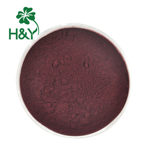 Cápsulas de arándanos en polvo de fruta instantánea de arándanos concentrado de jugo de calidad alimentaria Healthway Supply - Product Image 3