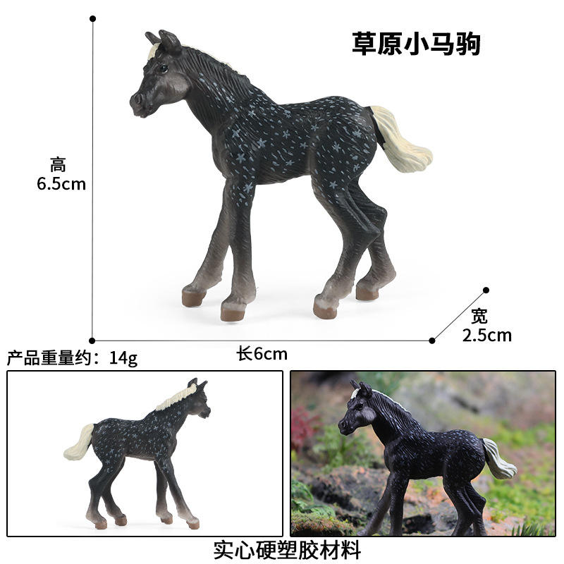 Pony prateria zjs-S697