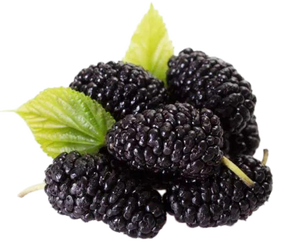 ขายส่งผงสารสกัดมัลเบอร์รี่บริสุทธิ์จากธรรมชาติและผงแอนโทไซยานินเกรดอาหารจากโรงงาน - Product Image 3