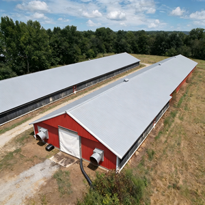 בית כלוב עוף שכבה אוטומטית בית עבור חוות עופות, חם לטבול מגולוון, גודל מותאם אישית זמין, משלוח מהיר - Product Image 6