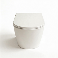 WC suspendu en porcelaine de luxe monobloc avec système de chasse d'eau dissimulé et siège hygiénique pour salles de bain de villas