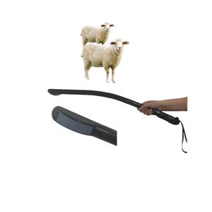 <span class=keywords><strong>Sonde</strong></span> linéaire rectale portative sans fil à ultrasons B, avec matrice convexe/ligne linéaire, pour la mesure de la gestation vétérinaire transrectale - Product Image 2